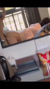 沈阳对镜干蜜桃臀学妹简介可约